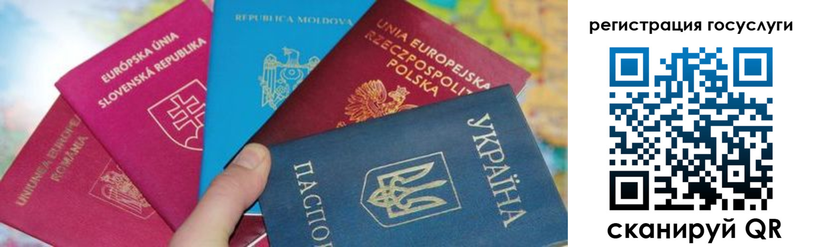 прописка гарантия в Котово