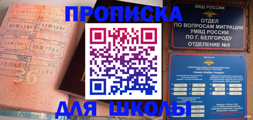 прописка иностранных граждан в Котово